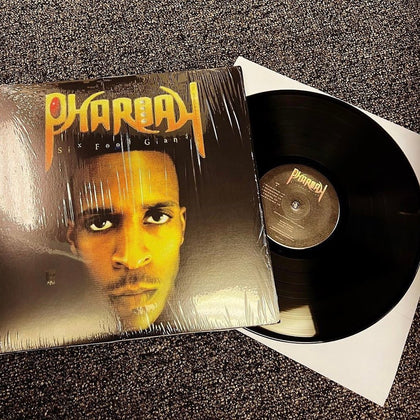 VINYL